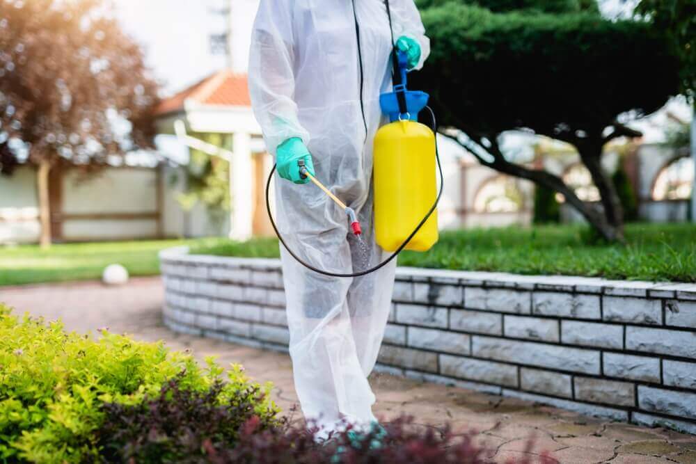 Pest control professional spraying garden, only at Old Bay Pest Control in Annapolis, MD.