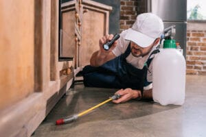 Pest control technician applying a targeted kitchen treatment