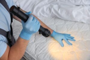 Pest control technician inspecting a mattress for bed bugs